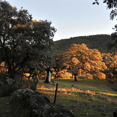 La Molinilla Apartamentos Y Hammam (Adults Only) Linares de la Sierra Luaran gambar